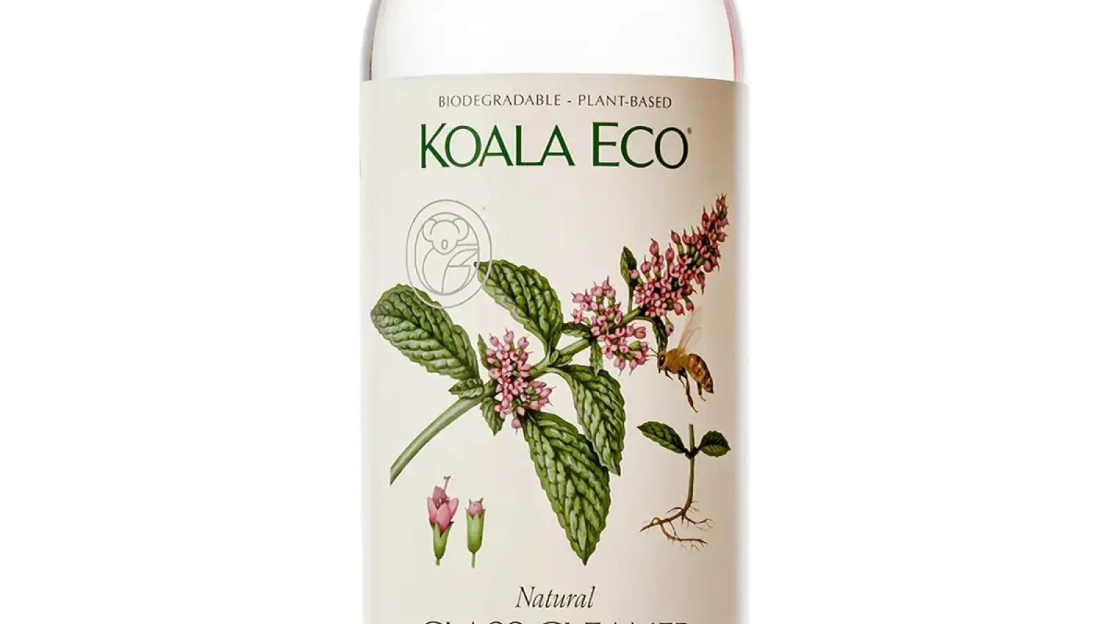 Eco Glass Cleaner Featured Image